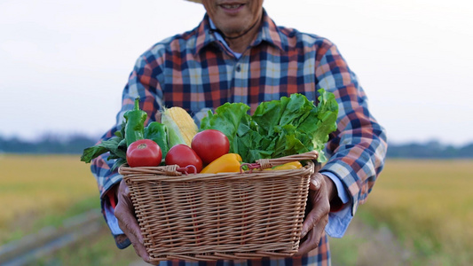 农夫递出新鲜蔬菜视频