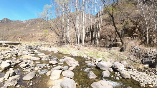 水流溪水小河视频