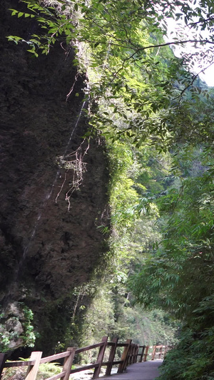 国家5A级旅游景区重庆黑山谷鹰爪岩国家级地质公园18秒视频