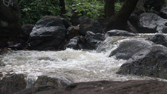 实拍森林山泉水 溪水 河流视频
