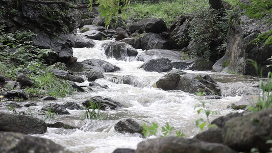 实拍森林山泉水 溪水 河流视频