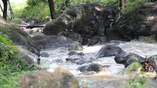 实拍森林山泉水 溪水 河流视频