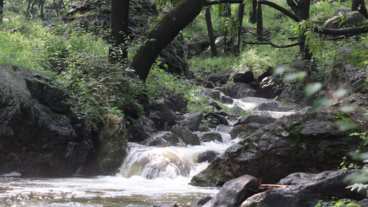 实拍森林山泉水 溪水 河流视频