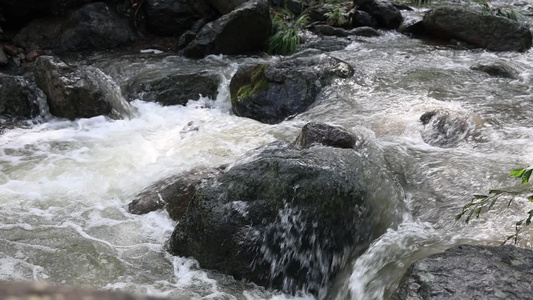 实拍森林山泉水 溪水 河流视频