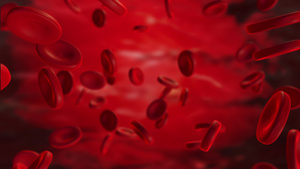 逼真的动画动脉中的红细胞在体内流动医疗人体保健红细胞24秒视频