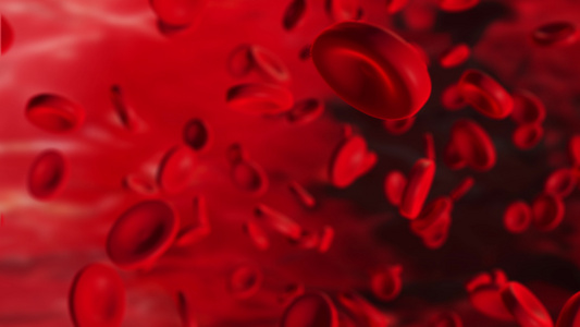 逼真的动画动脉中的红细胞在体内流动医疗人体保健红细胞视频