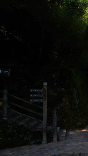 航拍5A景区衢州江郎山古建筑开明禅寺视频世界地质公园47秒视频