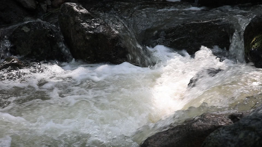 实拍森林山泉水 溪水 河流视频