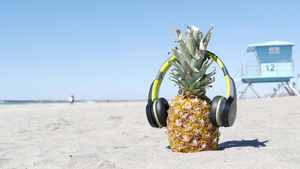 海滩上的菠萝戴着耳机7秒视频