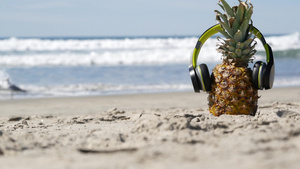 耳机中的菠萝沙沙海滨海岸热带夏季异国水果岸上的阿纳纳13秒视频