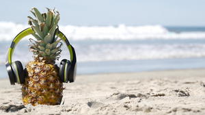 耳机中的菠萝沙沙海滨海岸热带夏季异国水果岸上的阿纳纳15秒视频