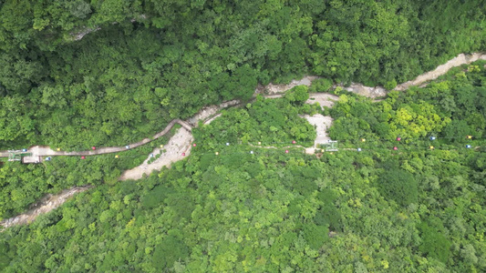  航拍高山森林山谷视频