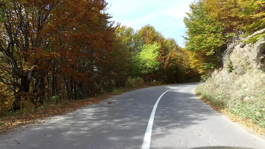 第一视角在乡村公路上驾车秋树旁有多彩的秋季树视频