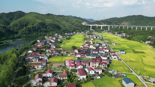 美丽乡村田园金秋金黄稻田乡村炊烟航拍视频