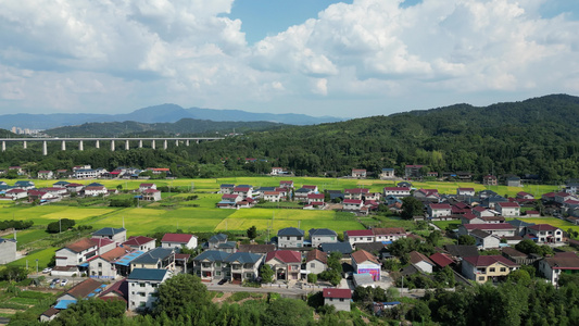 美丽乡村田园金秋金黄稻田乡村炊烟航拍视频