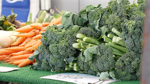 有机蔬菜在柜台上新鲜的当地农产品在摊位上土生土长13秒视频