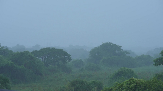 热带雨季降雨量下降有绿树背景的暴雨视频