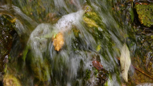 一个小瀑布泉水流出的淡水25秒视频