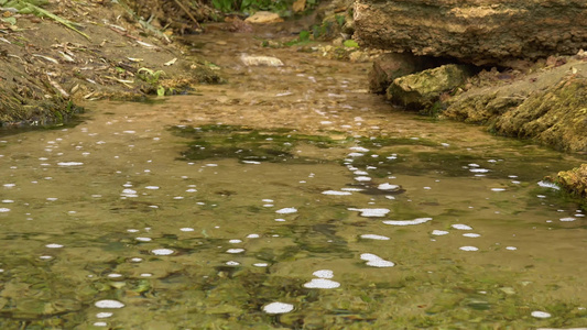 纯净的淡水从岩石下流出溪流中有淡水视频