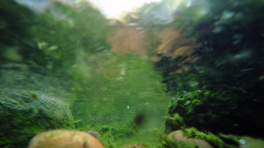 岩石上带海藻的水下溪流视频