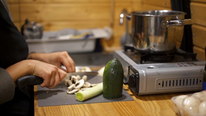 女人用煤气炉在一辆露营面包车厨房切菜75秒视频