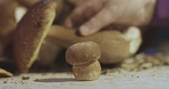 新鲜的猪肉卷饼薄荷糖桌上的便士面包蘑菇视频