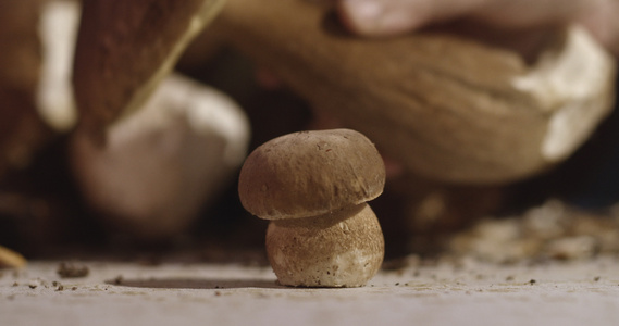 新鲜的猪肉卷饼薄荷糖桌上的便士面包蘑菇视频