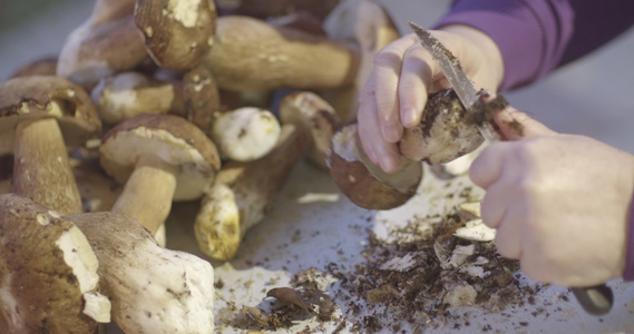 新鲜的猪肉牛排桌上的薄饼蘑菇用刀清洗泥土视频