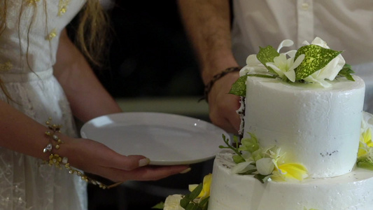 新娘和新郎切婚蛋糕视频