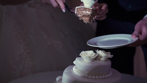 妇女切庆祝蛋糕11秒视频