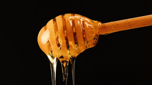 密闭的蜂蜜从黑色的木制黄花中流出38秒视频