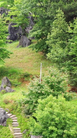 贵州铜仁思南石林航拍视频5A景点33秒视频