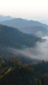 航拍安徽歙县石潭山峦晨雾自然风光视频安徽皖南视频