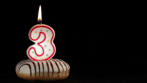 三岁生日蜡烛21秒视频