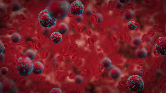 3d型血液流动模型感染了Corona病毒20视频
