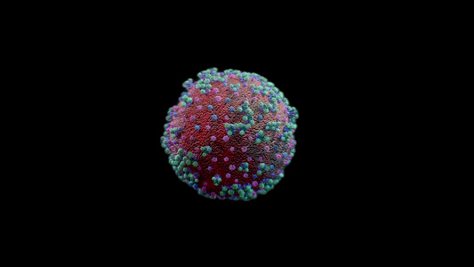 Corona病毒19旋转无缝环阿尔法信道的精确3D视频