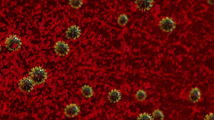 血流细胞受冠状菌共生2013秒视频