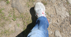 穿着运动鞋和牛仔裤的男人的腿穿过干燥草地23秒视频