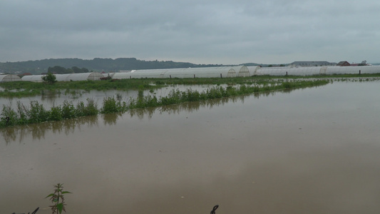 暴风雨过后田野种植园因农庄而淹水视频