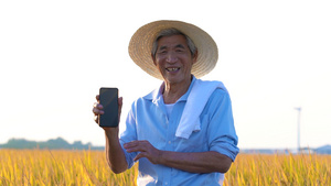 田地里的农民使用手机展示手机动作12秒视频