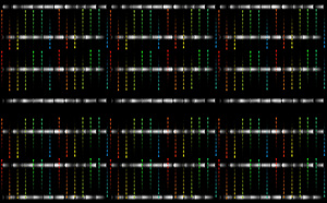 立体声音调抽象数字12秒视频