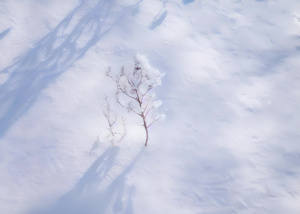 冬天雪地纹理素材4秒视频