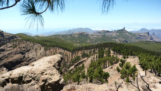 谷粒甘蔗山露出视频