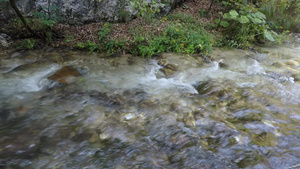 夏天的清清楚明的溪水春光带声音的视频12秒视频