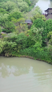 杭州西溪湿地航拍视频自然风光视频