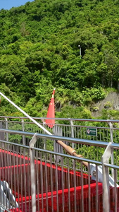 呀诺达景区的哇哎噜玻璃观景平台呀诺达雨林的网红玻璃桥视频