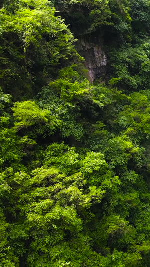 宜昌5A风景区三峡人家龙进溪峡谷航拍合集5A景点132秒视频