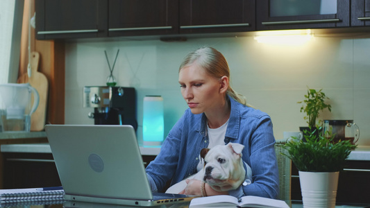 年轻女子在电脑上工作手里拿着小狗视频