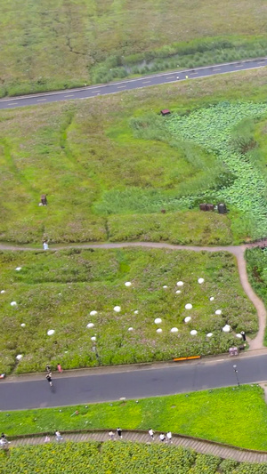 5A风景区无锡拈花湾小镇小火车航拍合集82秒视频