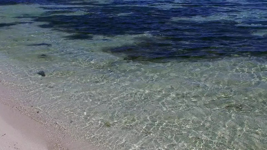 通过透明的海面和沙滩附近的白沙土背景完美旅游海滩野生动物视频